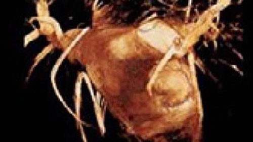 Rotational 2 desktop