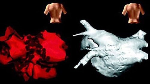 Rotational 3 desktop