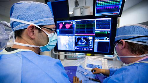 electrophysiology portfolio desktop