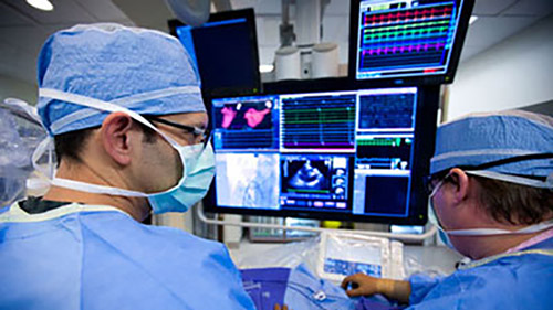 flexvision xl desktop