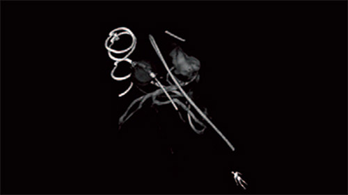 live 3d mr ct roadmap desktop
