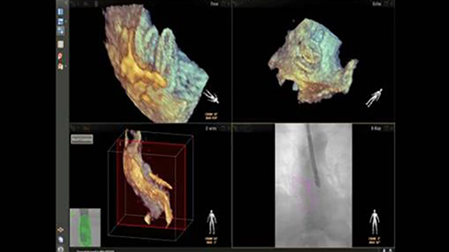 echonavigator desktop