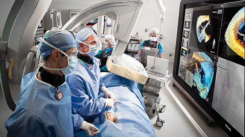 flexvision xl desktop